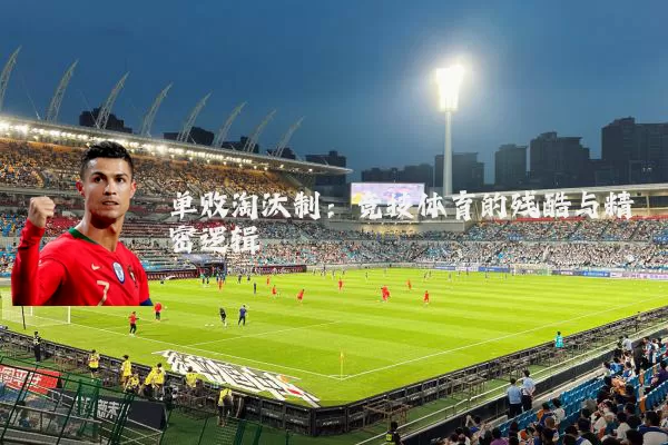 单败淘汰制:竞技体育的残酷与精密逻辑